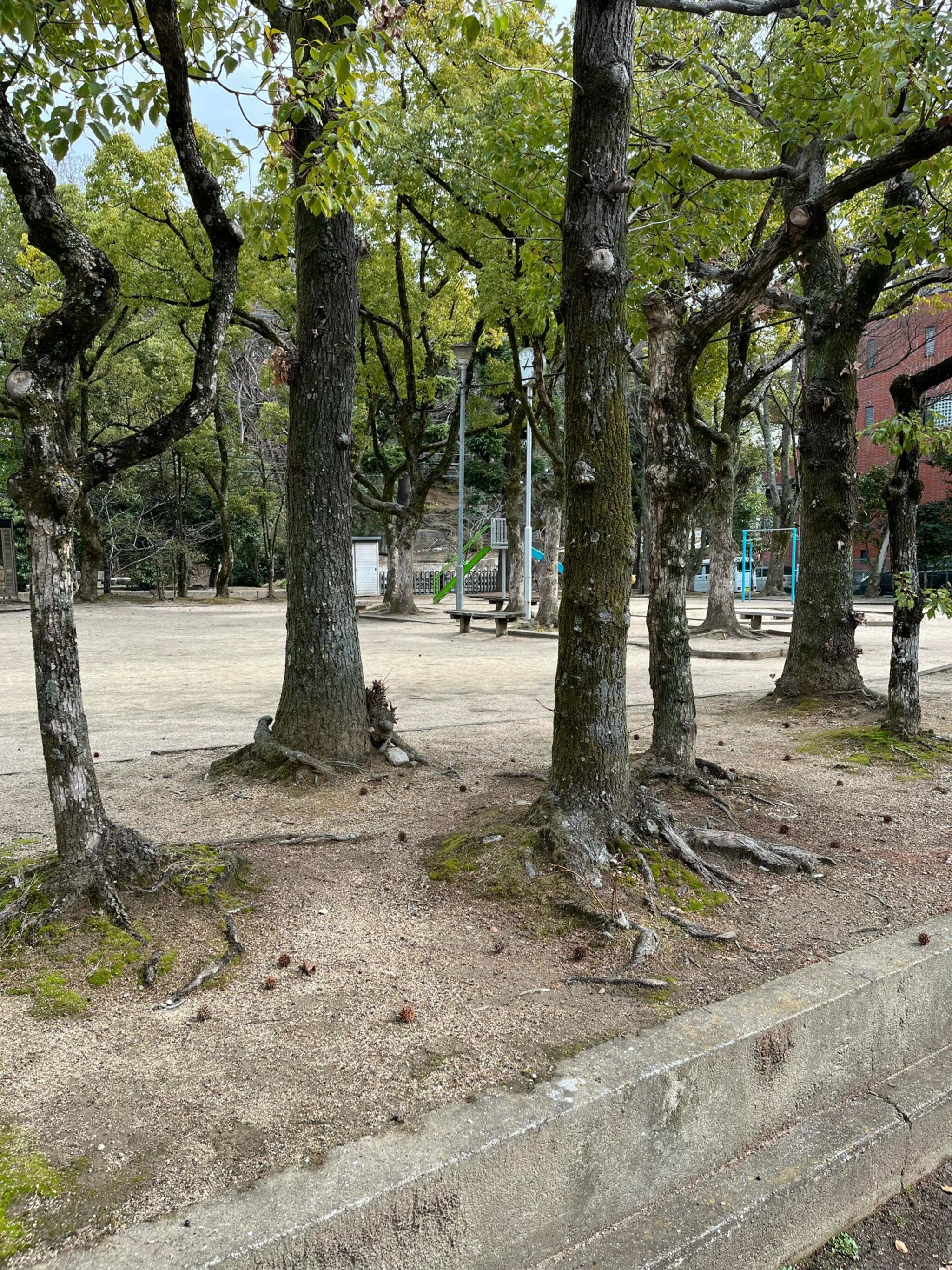 弓之町公園の代表写真5