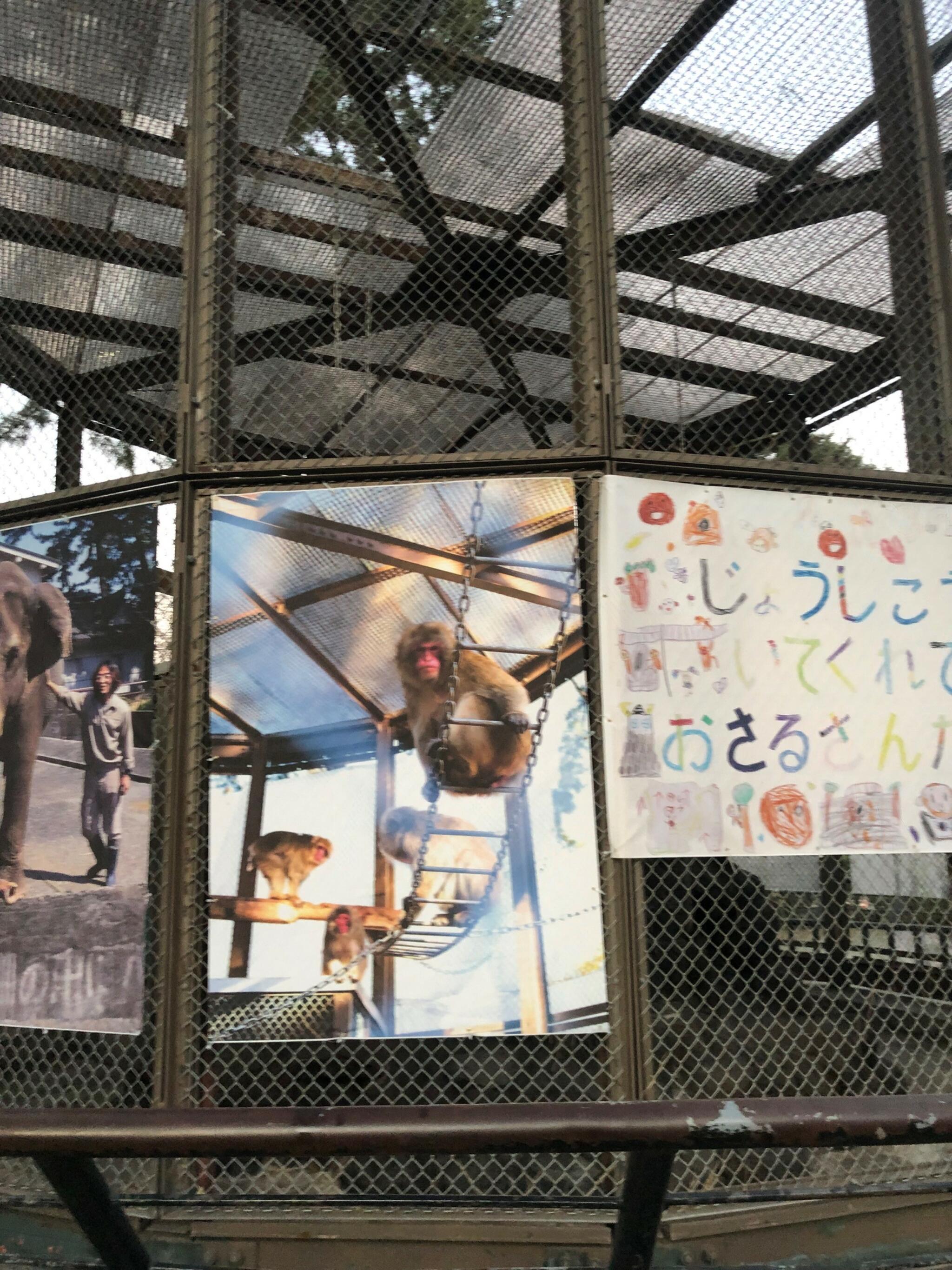 小田原城動物園の代表写真1