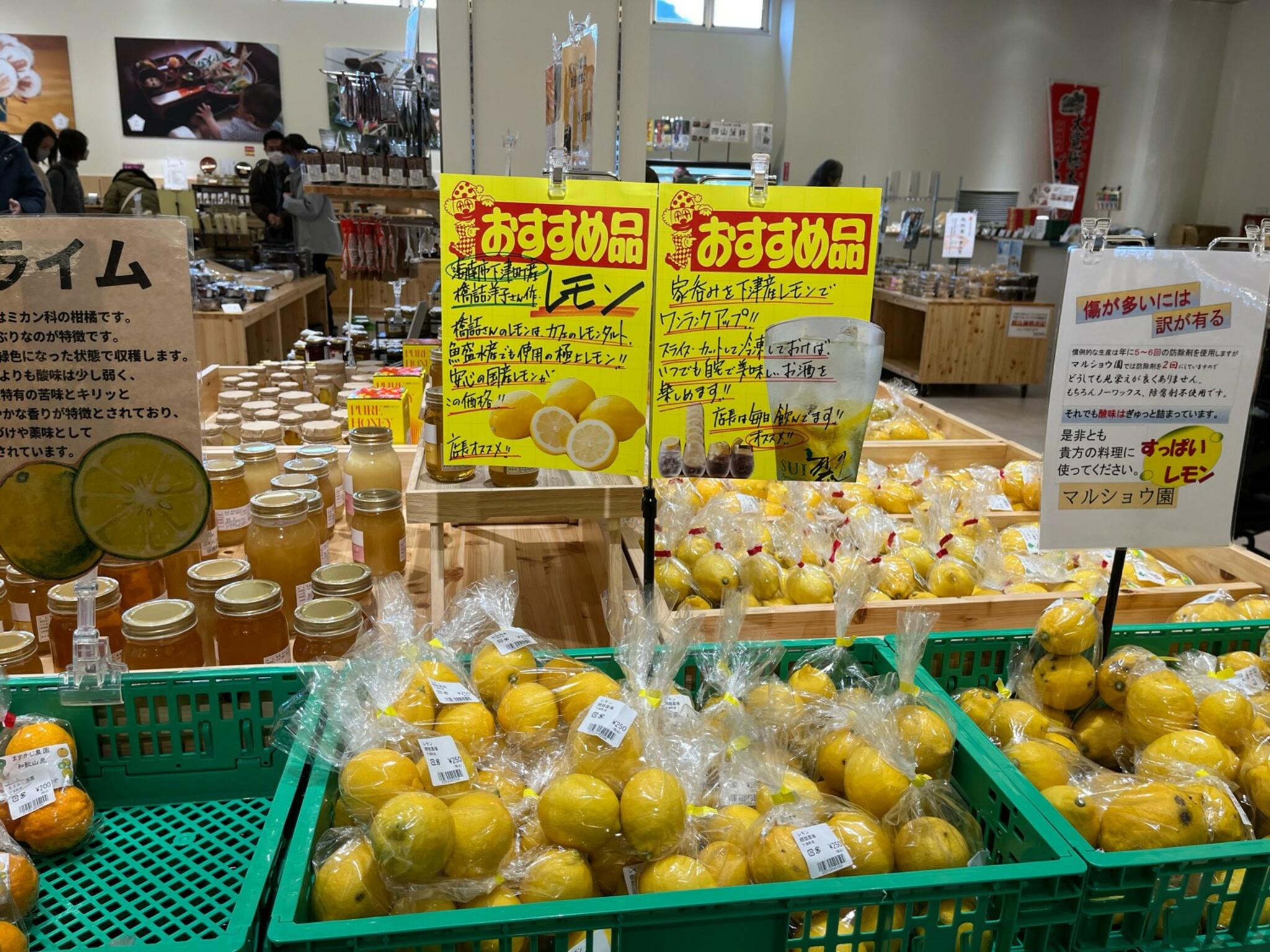 道の駅海南サクアスの代表写真8