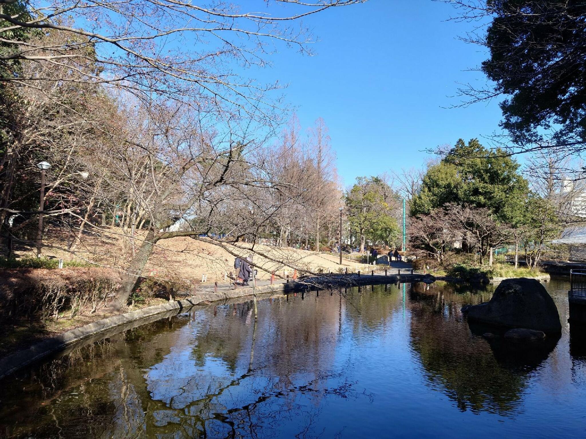 蚕糸の森公園の代表写真6