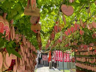 露天神社のクチコミ写真8