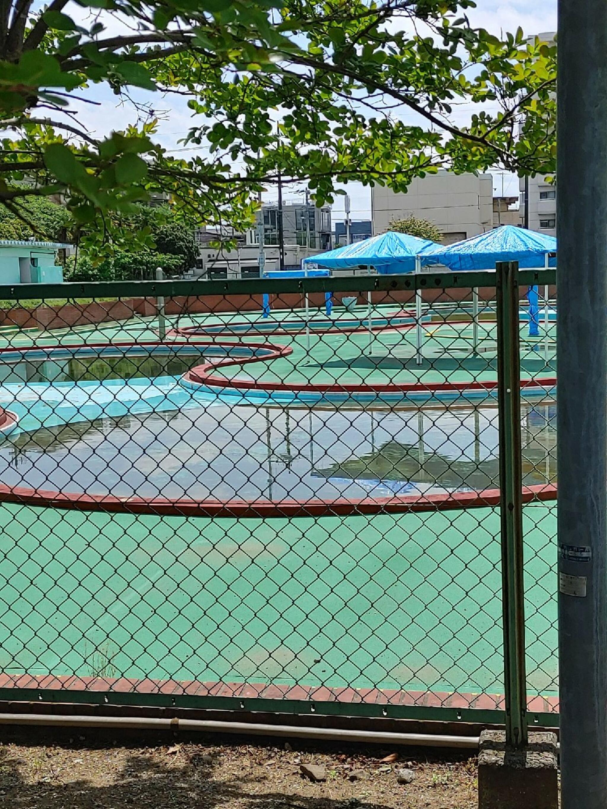 早稲田公園プールの代表写真1