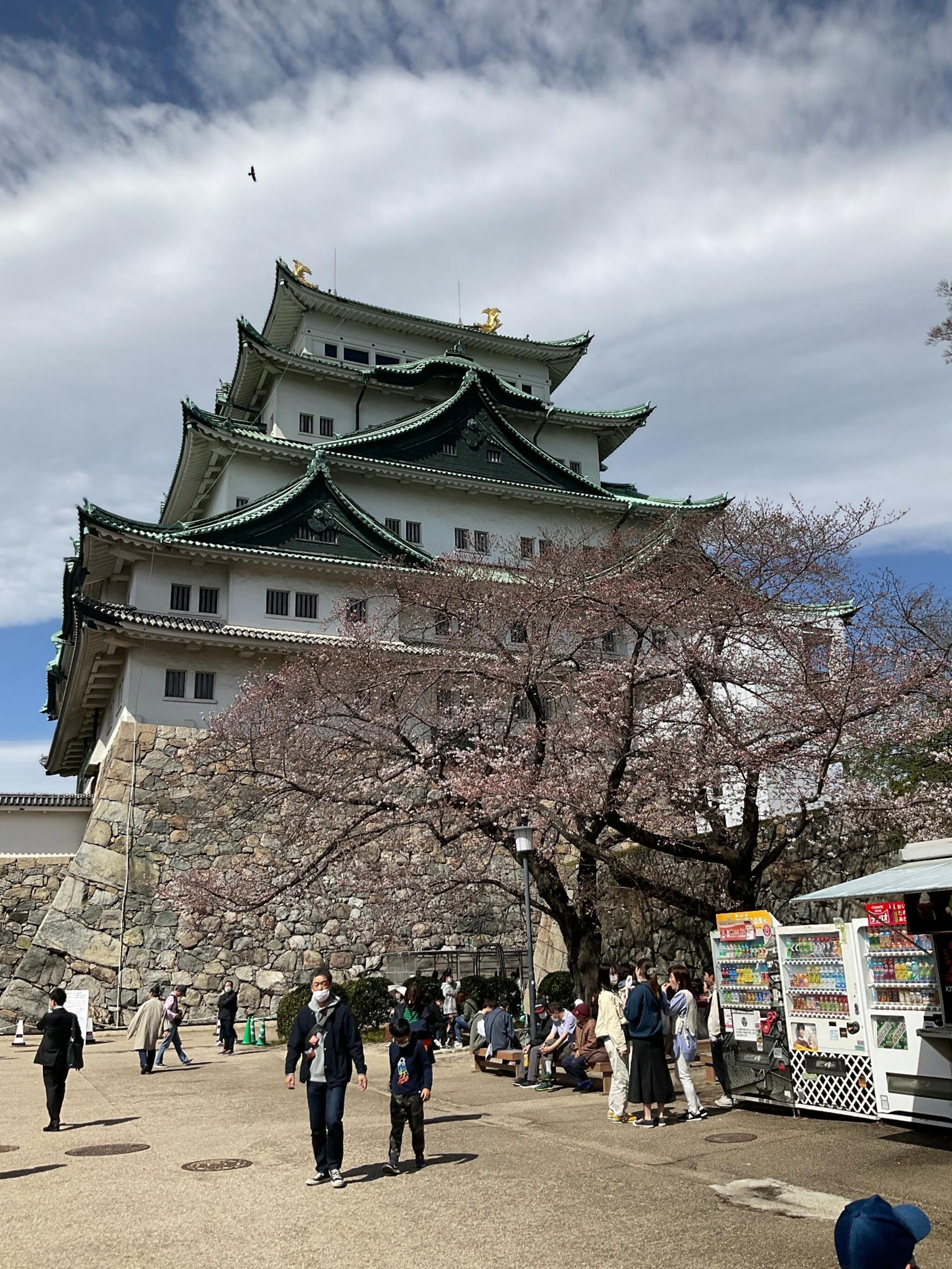 名古屋城の代表写真1