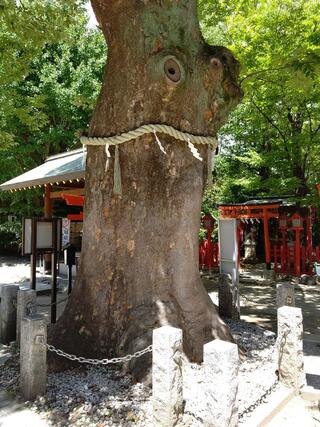 クチコミ : 新田神社 - 大田区矢口/神社 | Yahoo!マップ