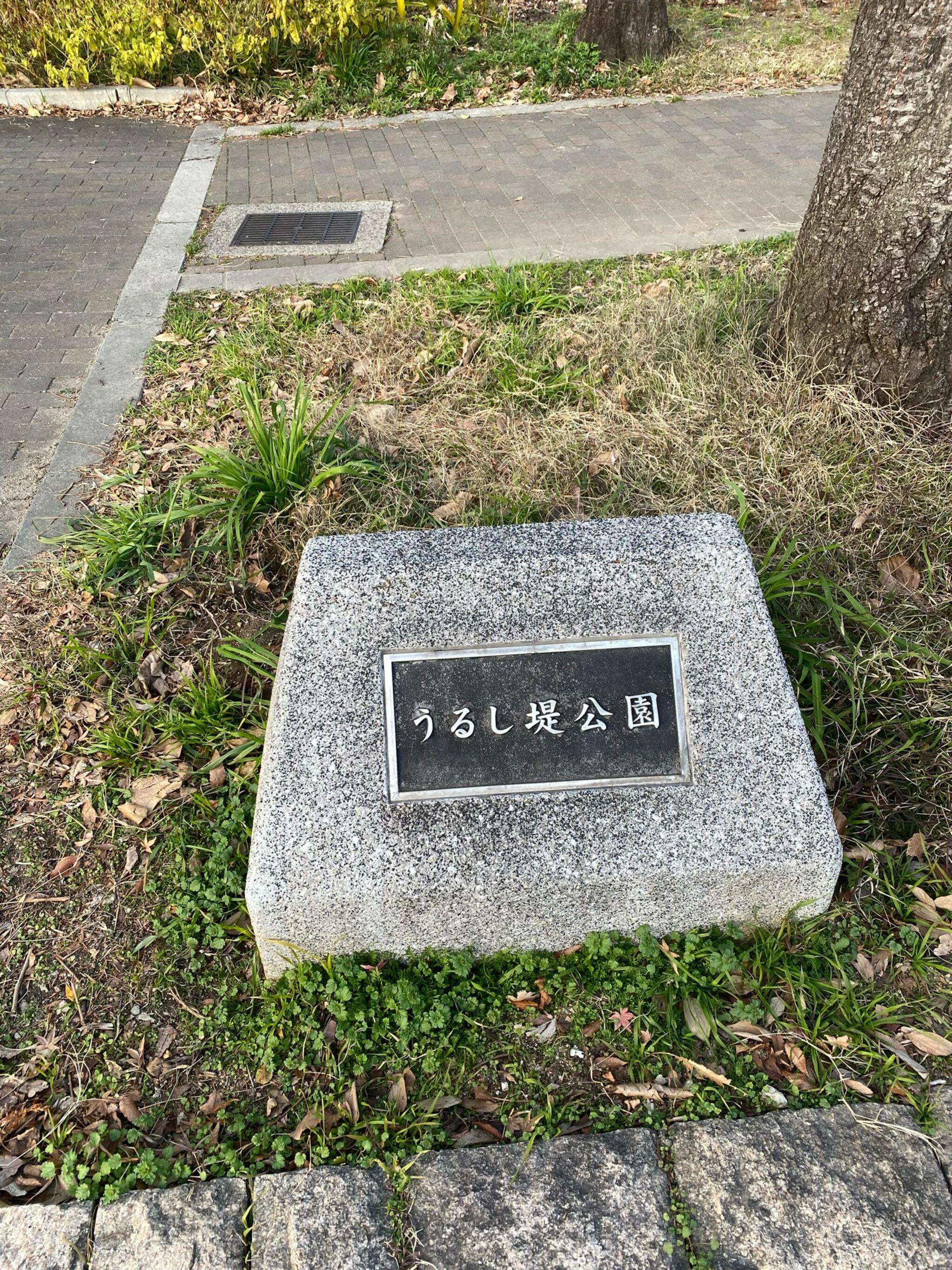 うるし堤公園の代表写真2