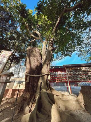 大原神社のクチコミ写真5