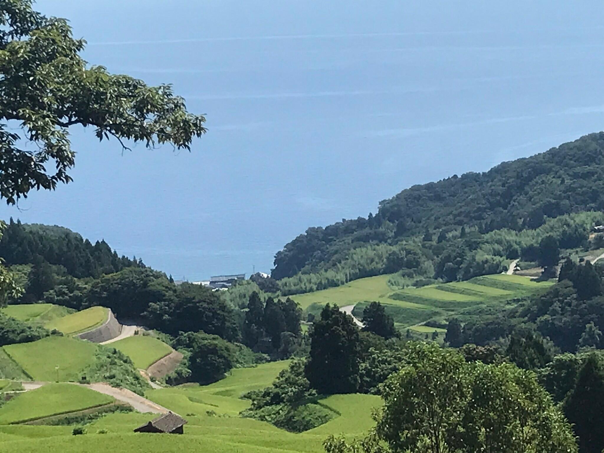 岩首昇竜棚田の代表写真8