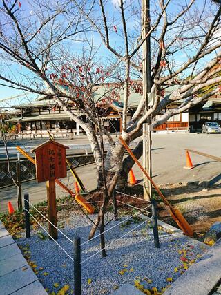 宮地嶽神社のクチコミ写真2