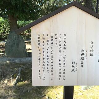 写真 : 松島十湖句碑 - 浜松市中央区八幡町 | Yahoo!マップ