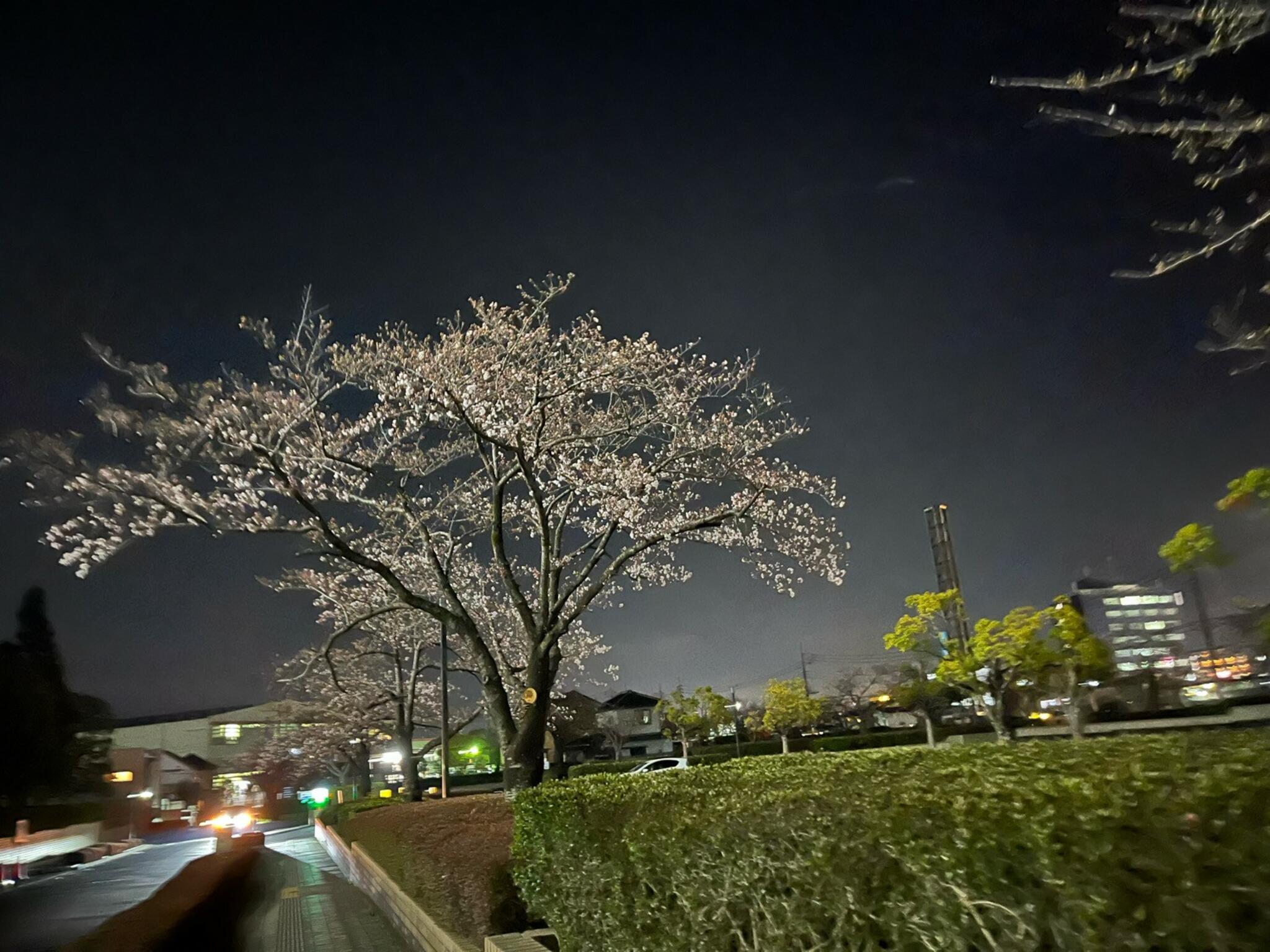 水戸市役所の代表写真4