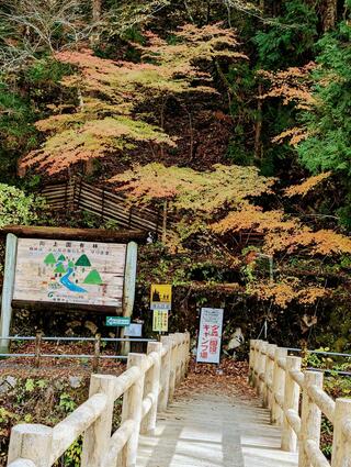 夕森キャンプ場・夕森公園総合案内所 YOU遊館のクチコミ写真1