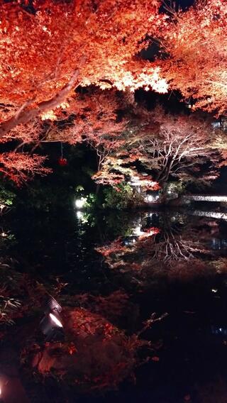 池田山公園のクチコミ写真2