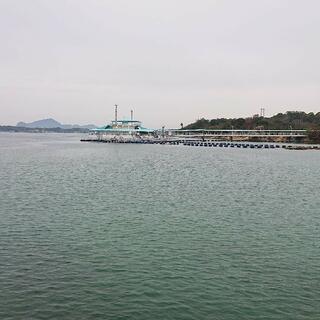 わくわく海中水族館シードーナツの写真19