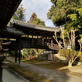 向日神社の写真26