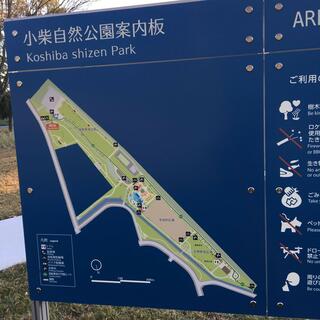 小柴自然公園の写真25