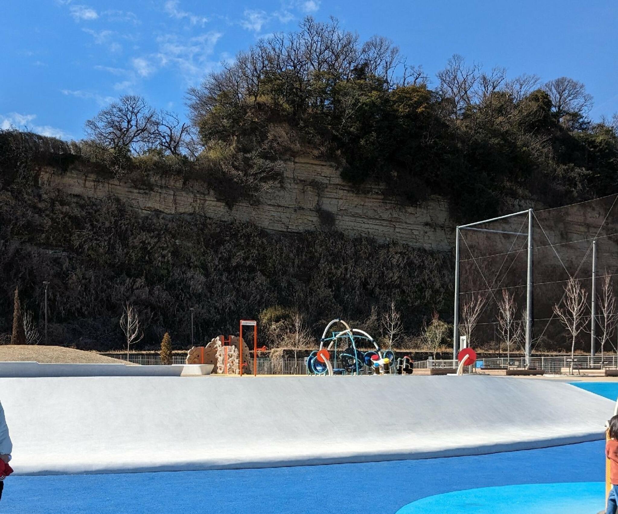 小柴自然公園の代表写真5