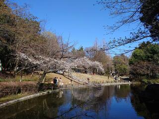 蚕糸の森公園のクチコミ写真1