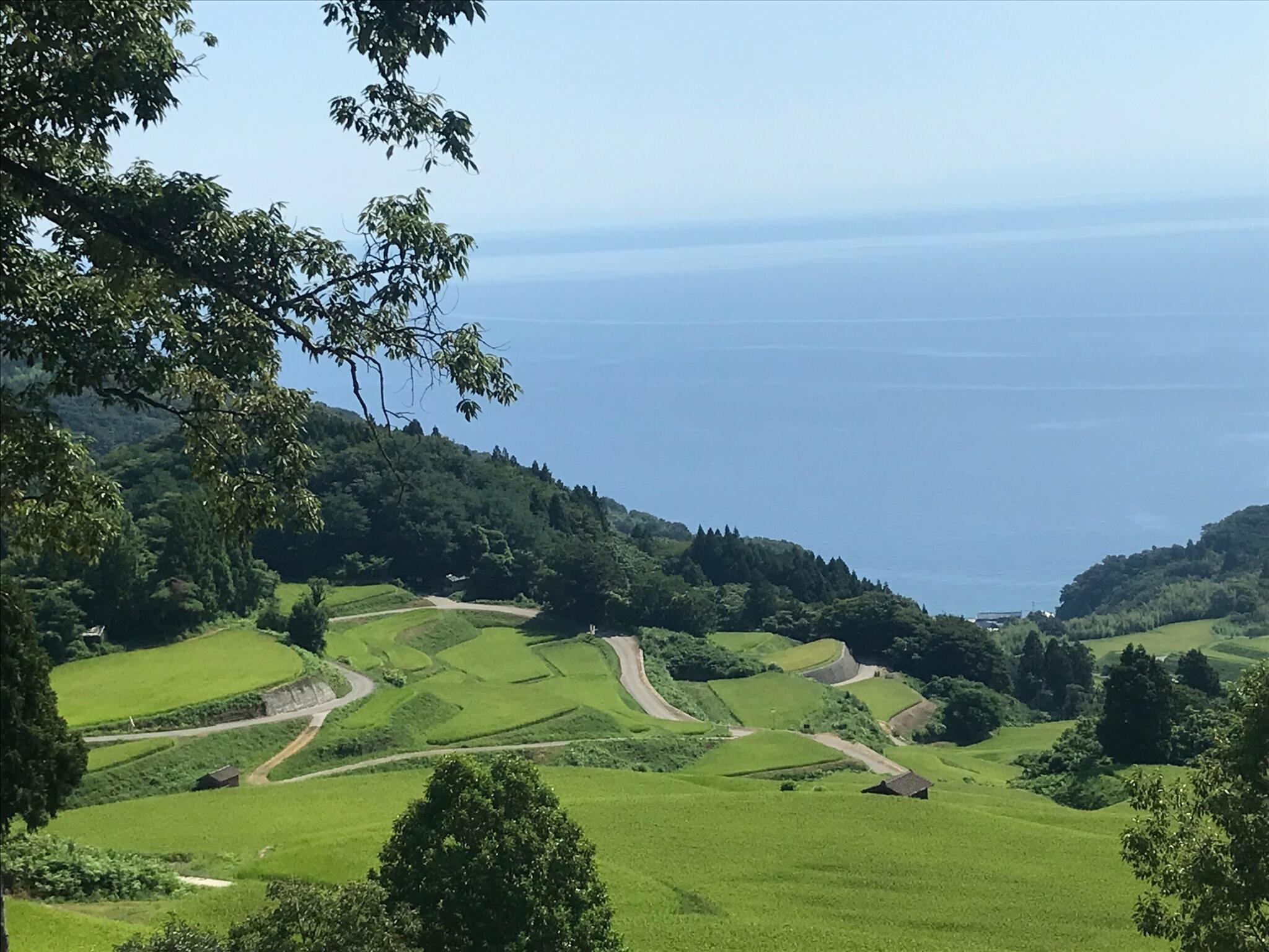 岩首昇竜棚田の代表写真7