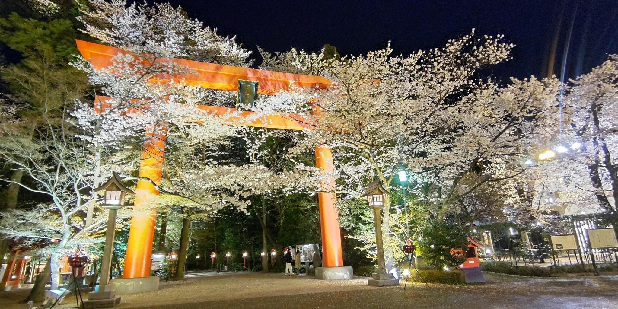 冠稲荷神社の代表写真3