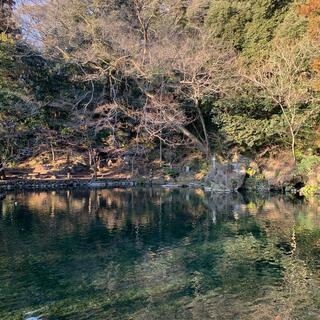 出流原弁天池の写真23