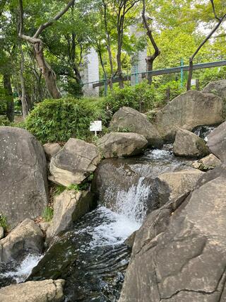 蚕糸の森公園のクチコミ写真1