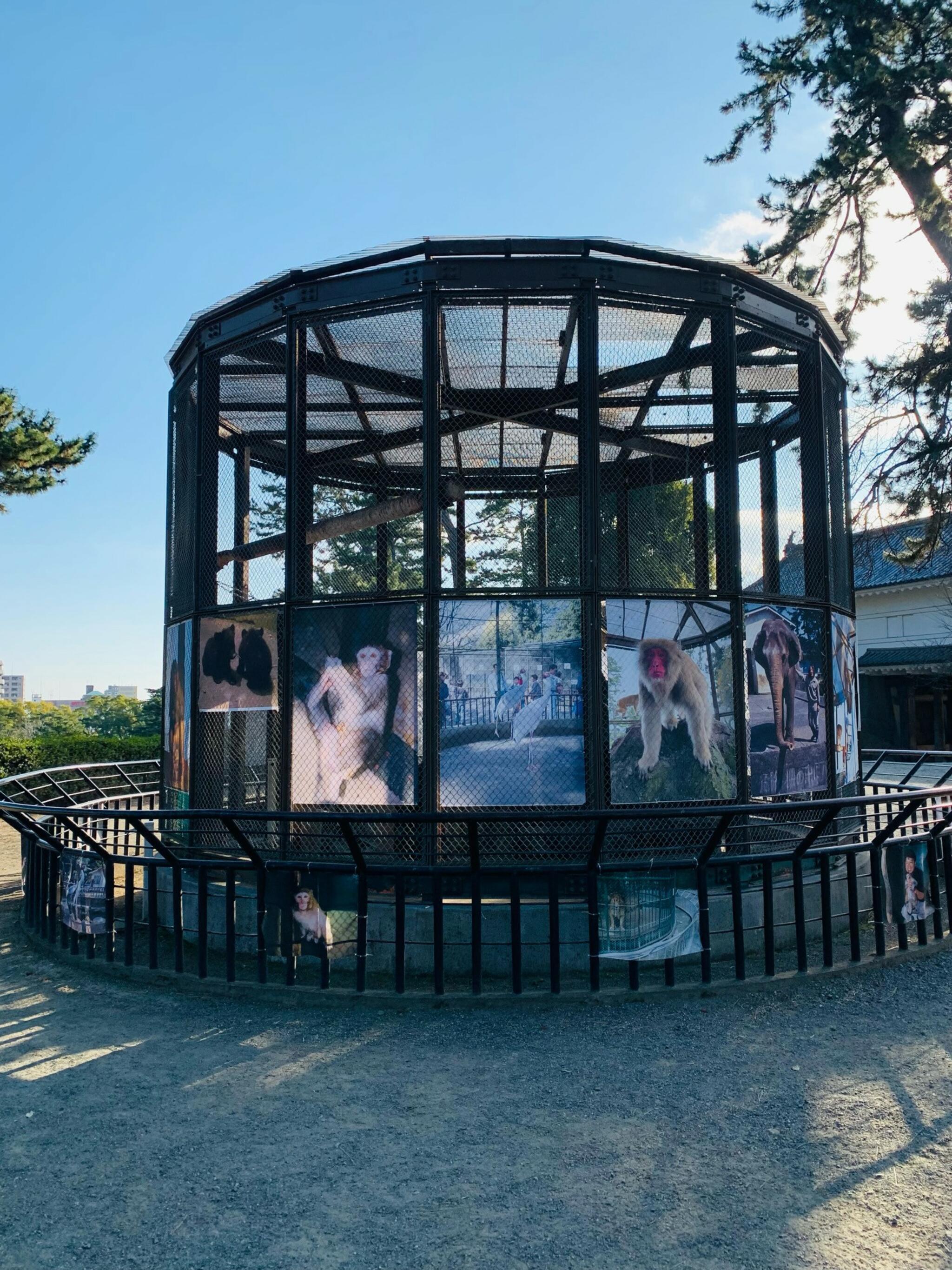 小田原城動物園の代表写真5