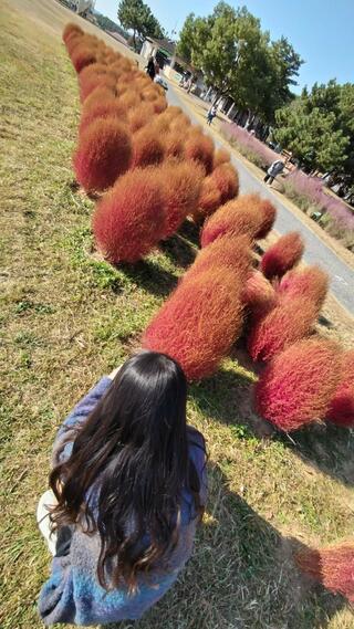 国営海の中道海浜公園のクチコミ写真2