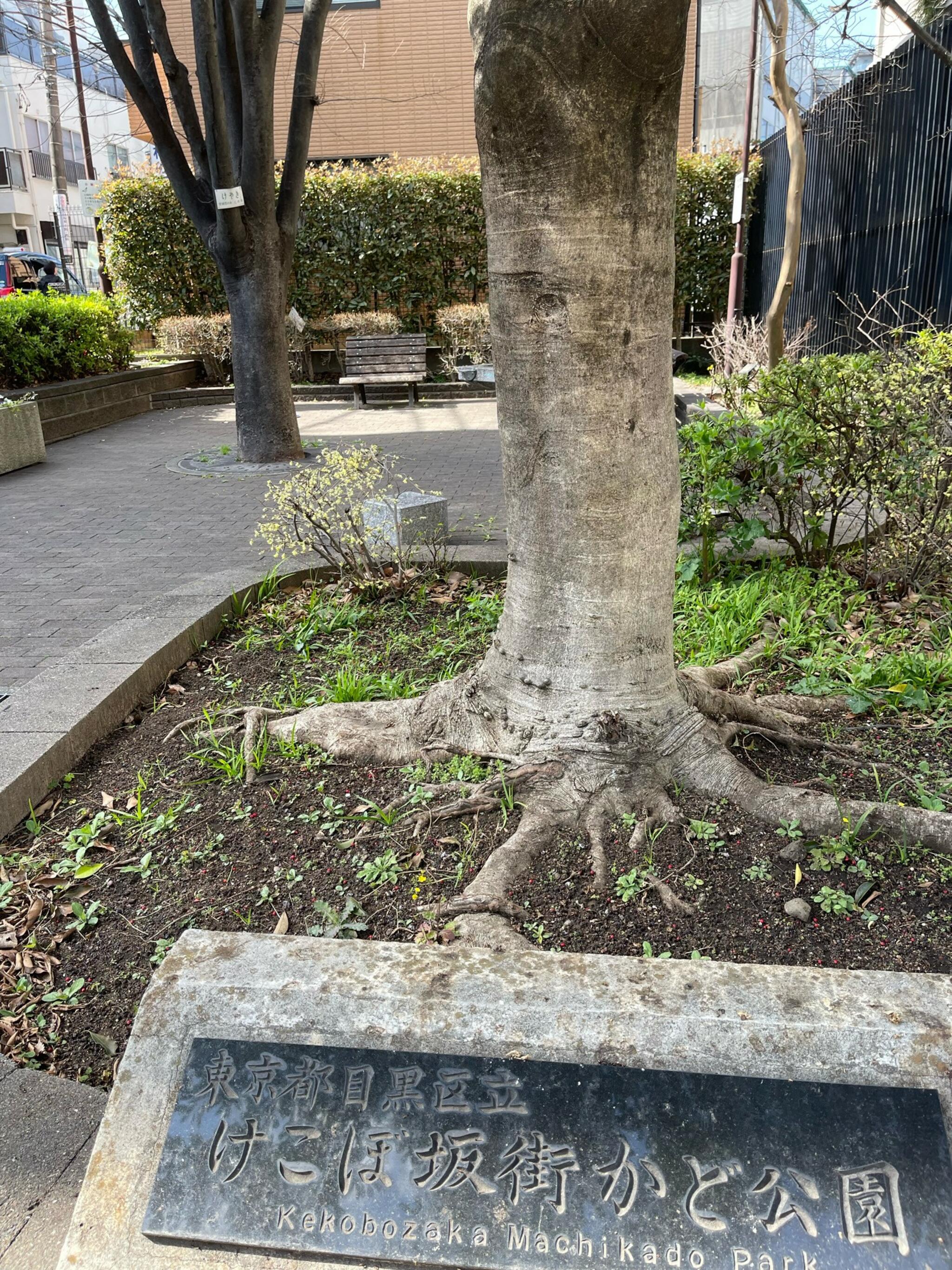 けこぼ坂街かど公園の代表写真2