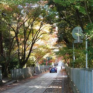 向日神社の写真22