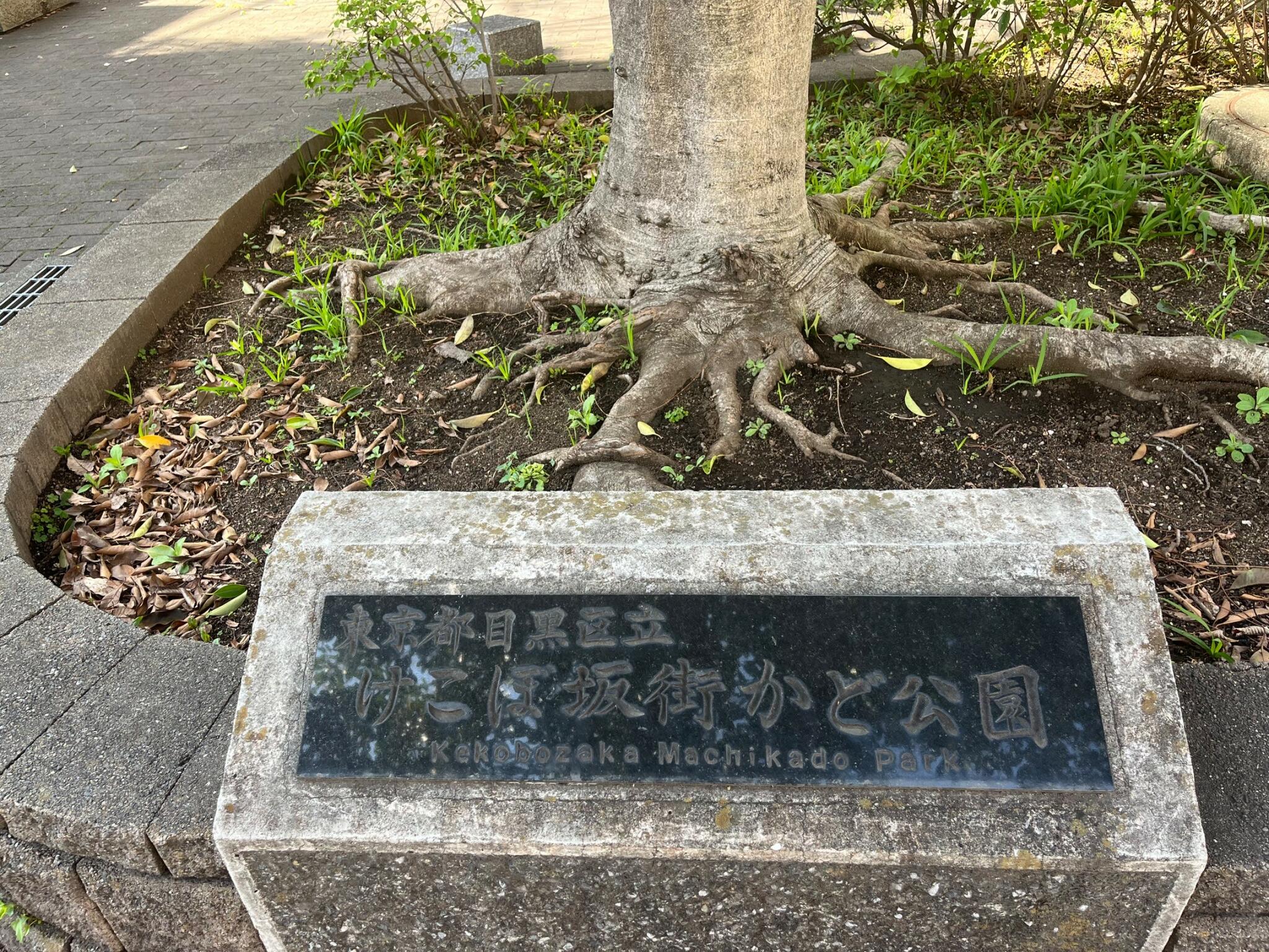 けこぼ坂街かど公園の代表写真6