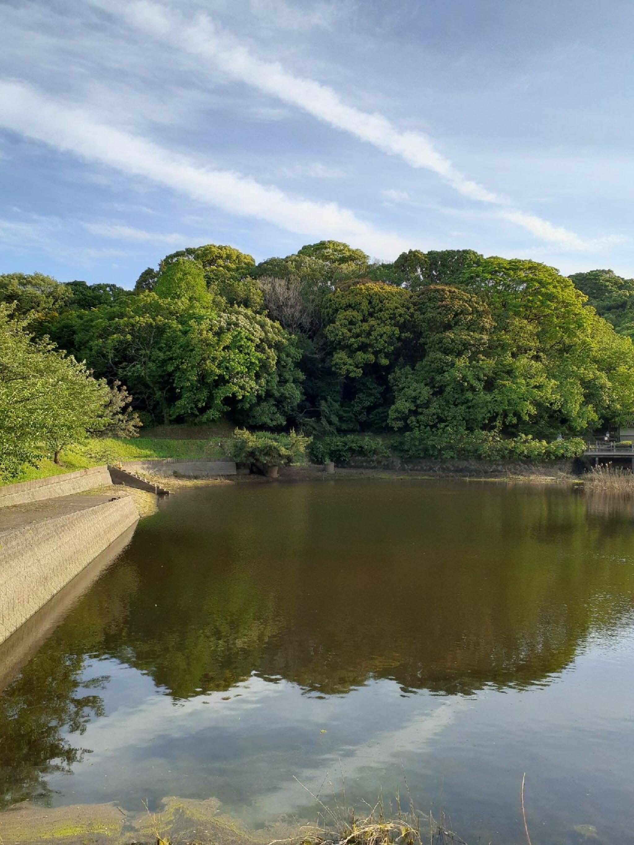 天拝山歴史自然公園の代表写真4