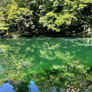 出流原弁天池の写真15