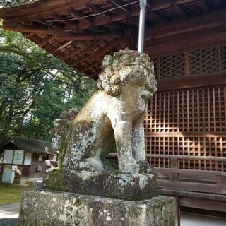 向日神社の写真30