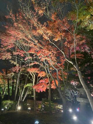 池田山公園のクチコミ写真1