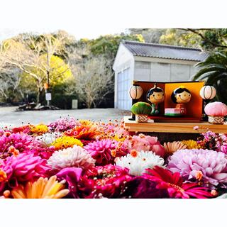 宇佐八幡神社の写真4