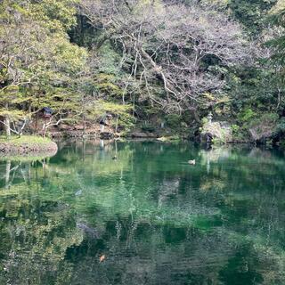 出流原弁天池の写真19