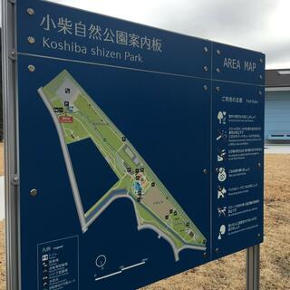 小柴自然公園の写真18