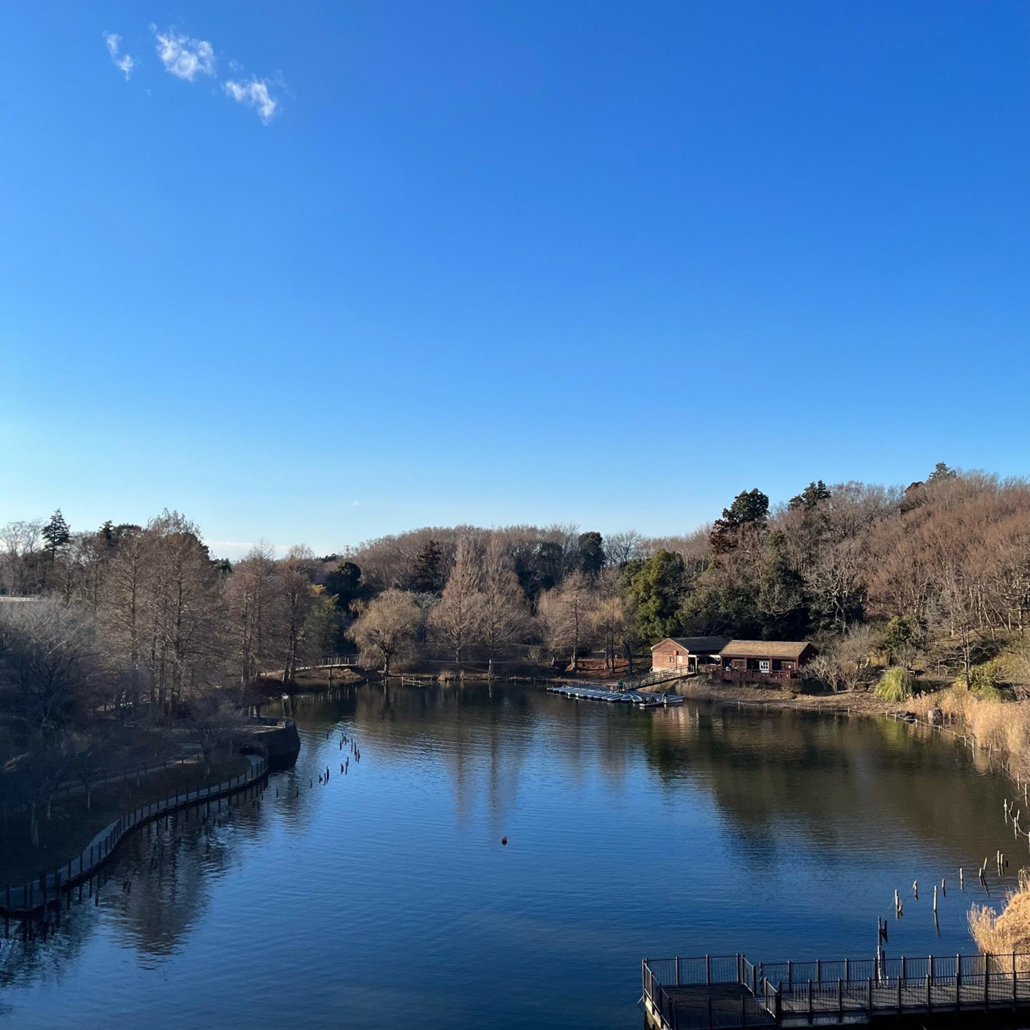 ふなばしアンデルセン公園の代表写真10