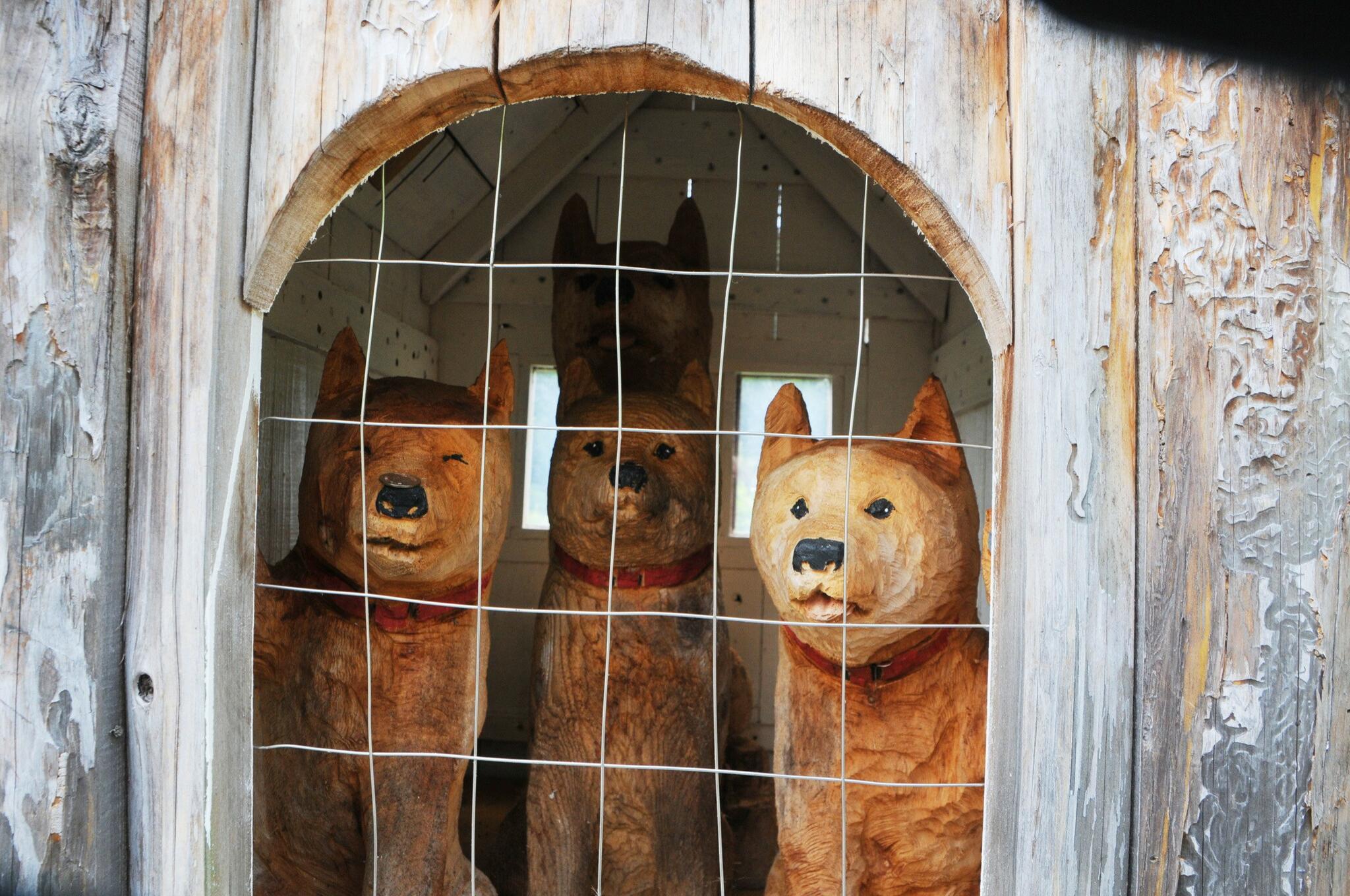 子犬 ショップ 拾う 首輪 物語 遺産