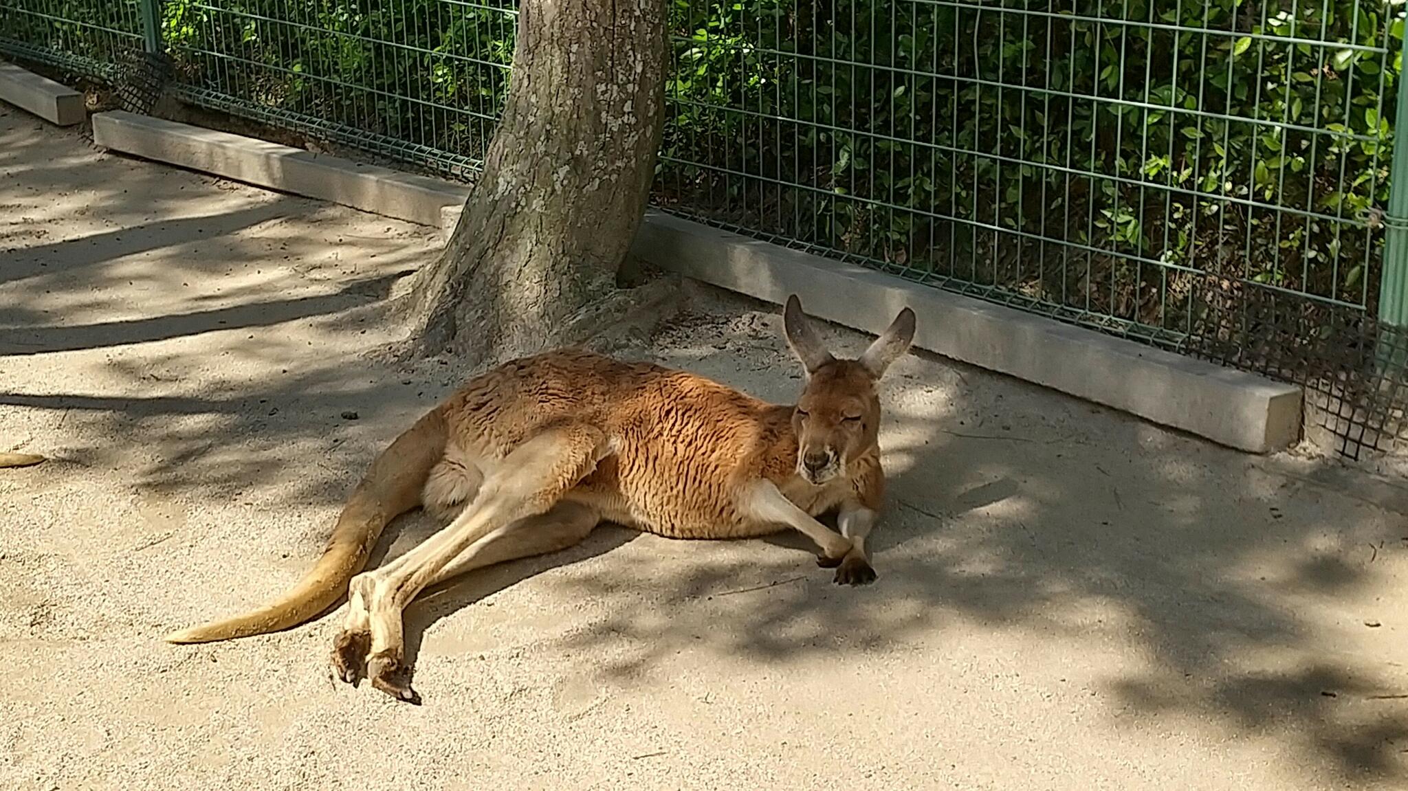 国営海の中道海浜公園の代表写真2