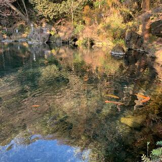 出流原弁天池の写真25