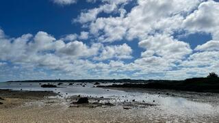 佐和田の浜のクチコミ写真1