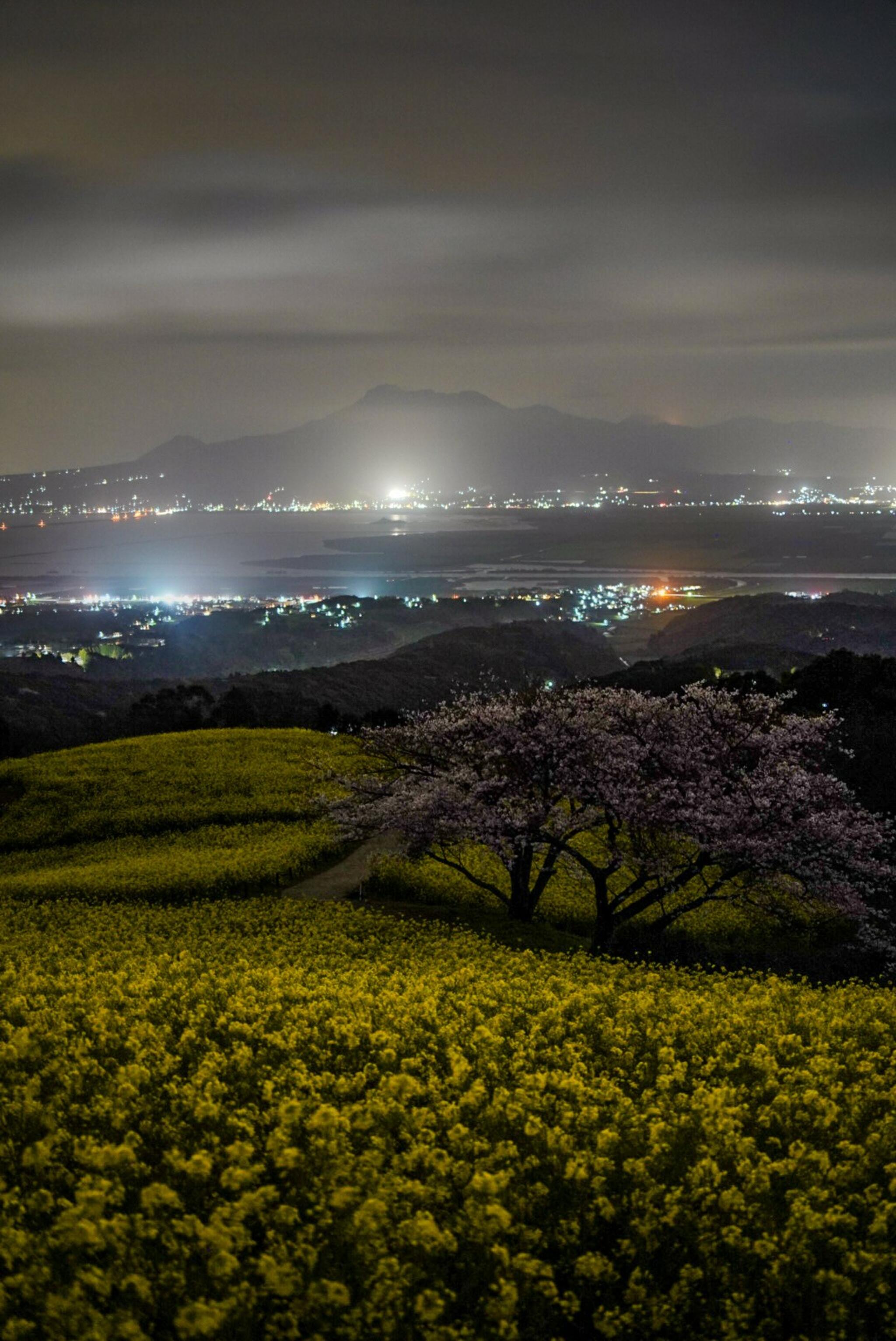 白木峰高原の代表写真2