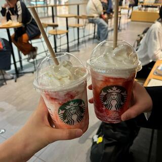 スターバックスコーヒー 洛北阪急スクエア店の写真19