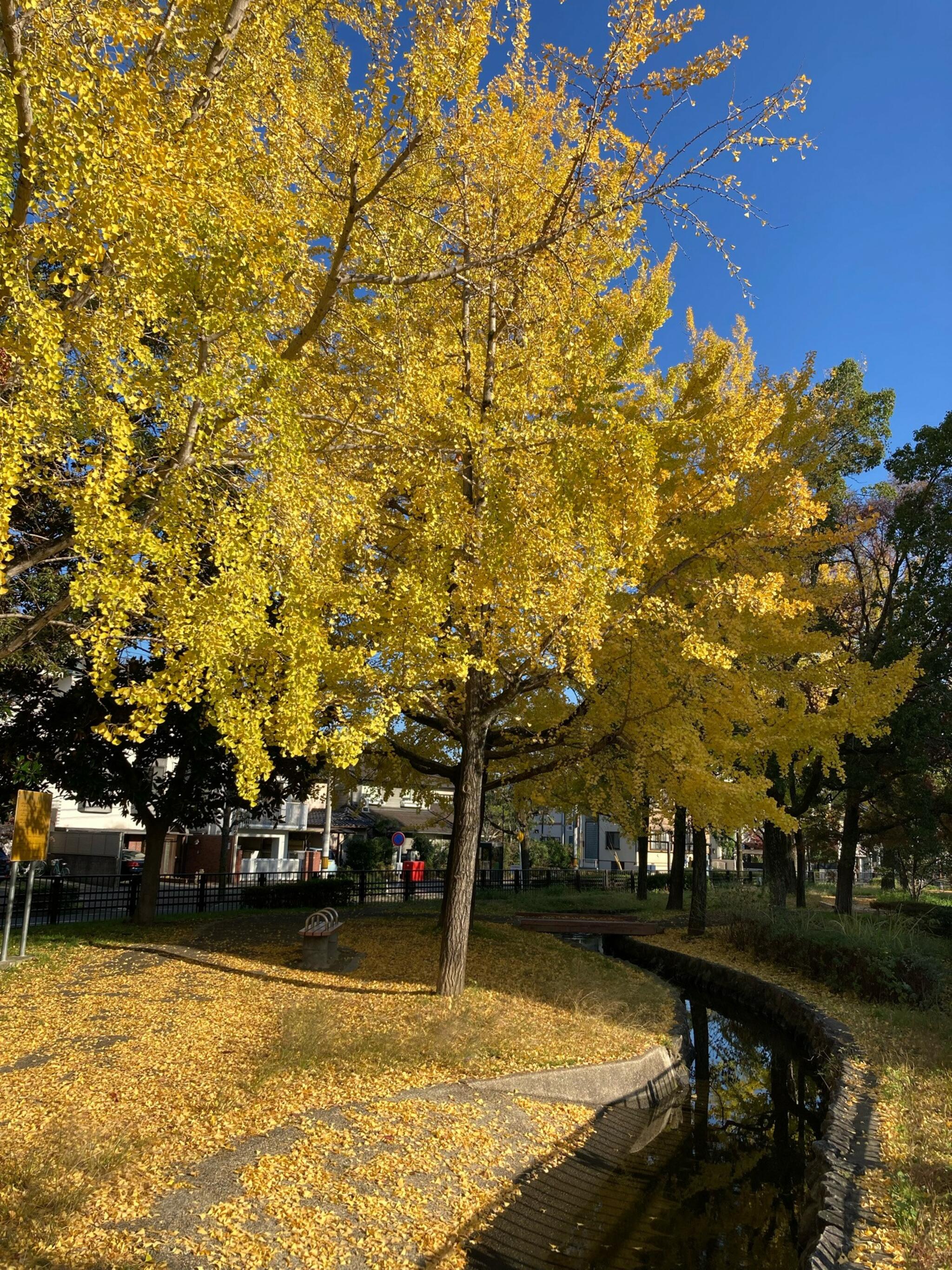 紫明せせらぎ第2公園の代表写真7