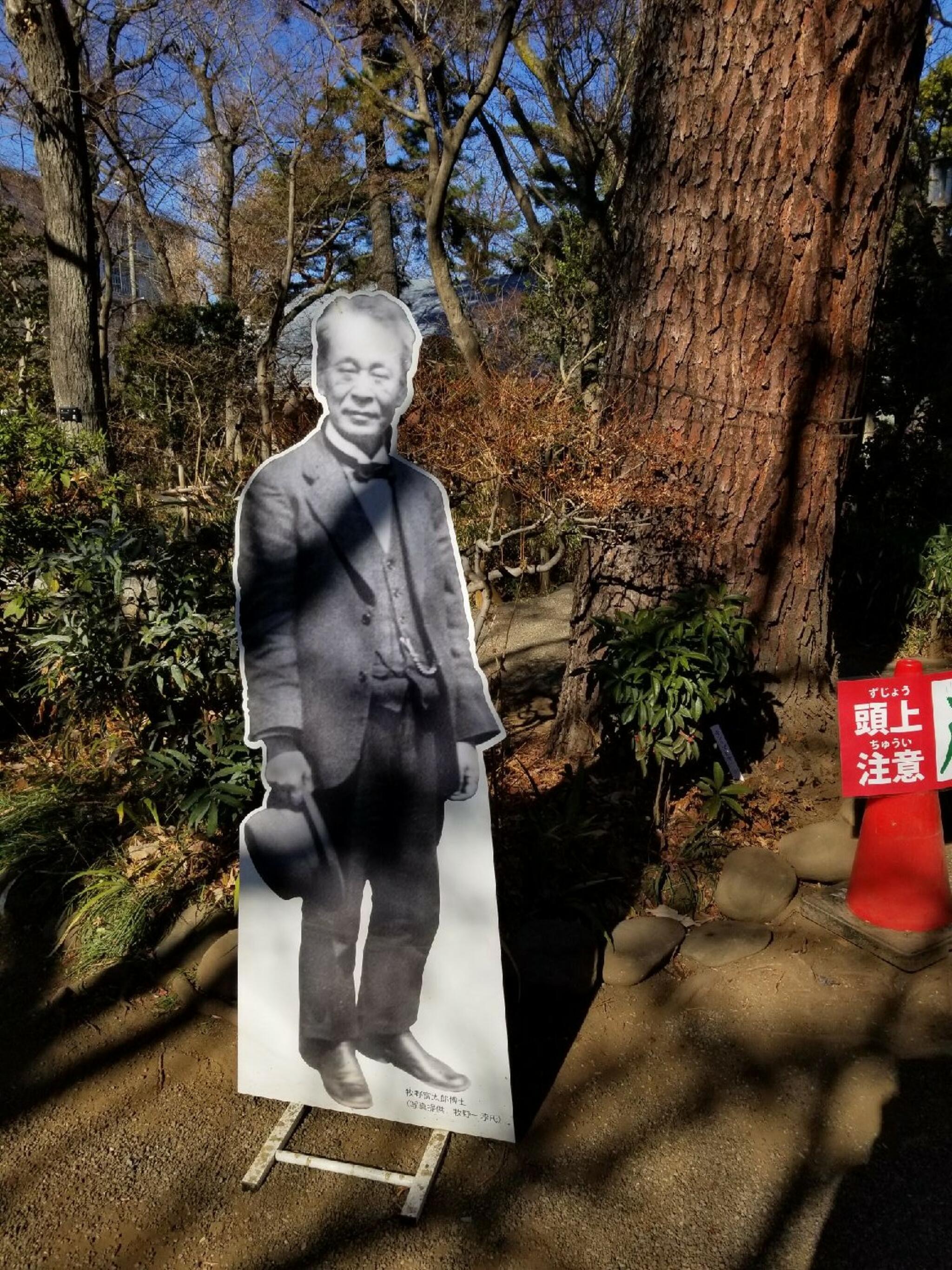 練馬区立牧野記念庭園の代表写真2