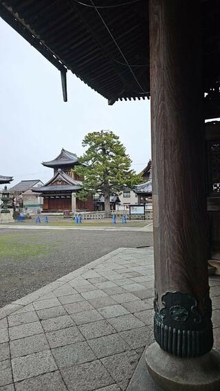 長浜別院 大通寺のクチコミ写真2