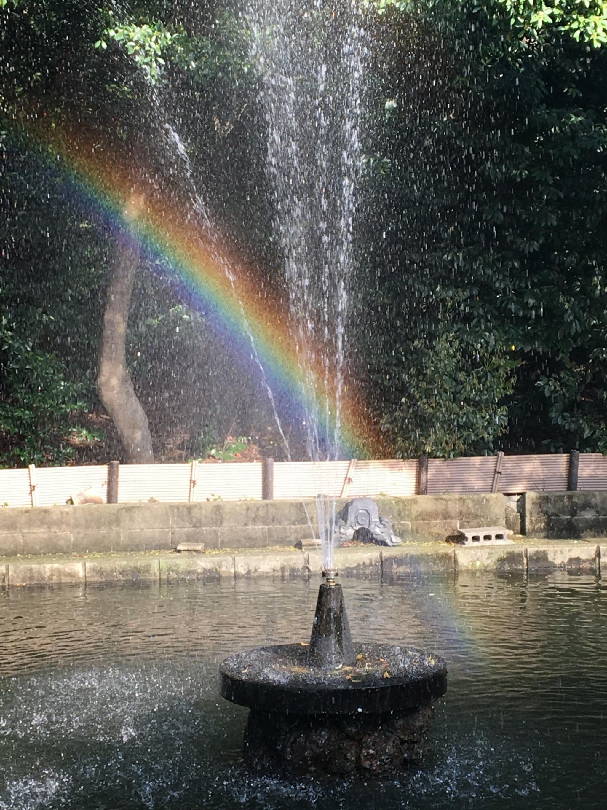 二子山公園の代表写真4