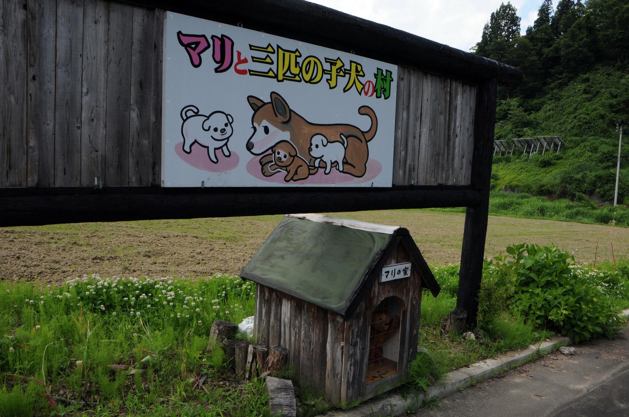 子犬 ショップ 拾う 首輪 物語 遺産