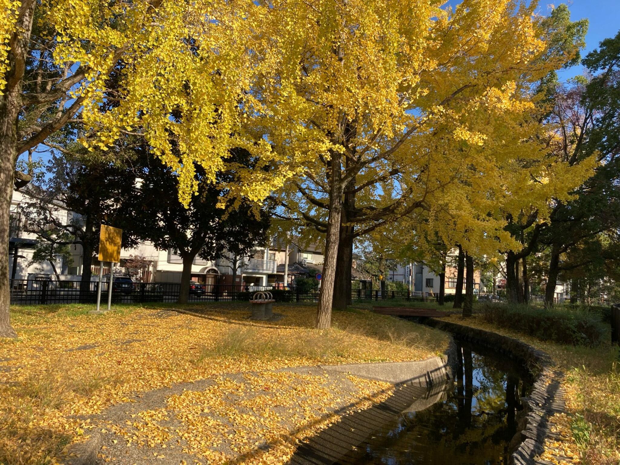 紫明せせらぎ第2公園の代表写真10